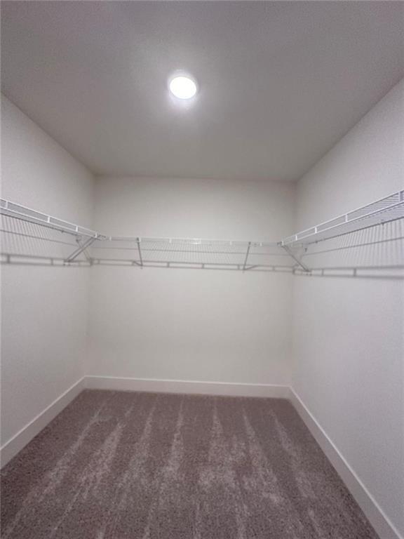 Building Photo - 2724 Sandy Ln NE