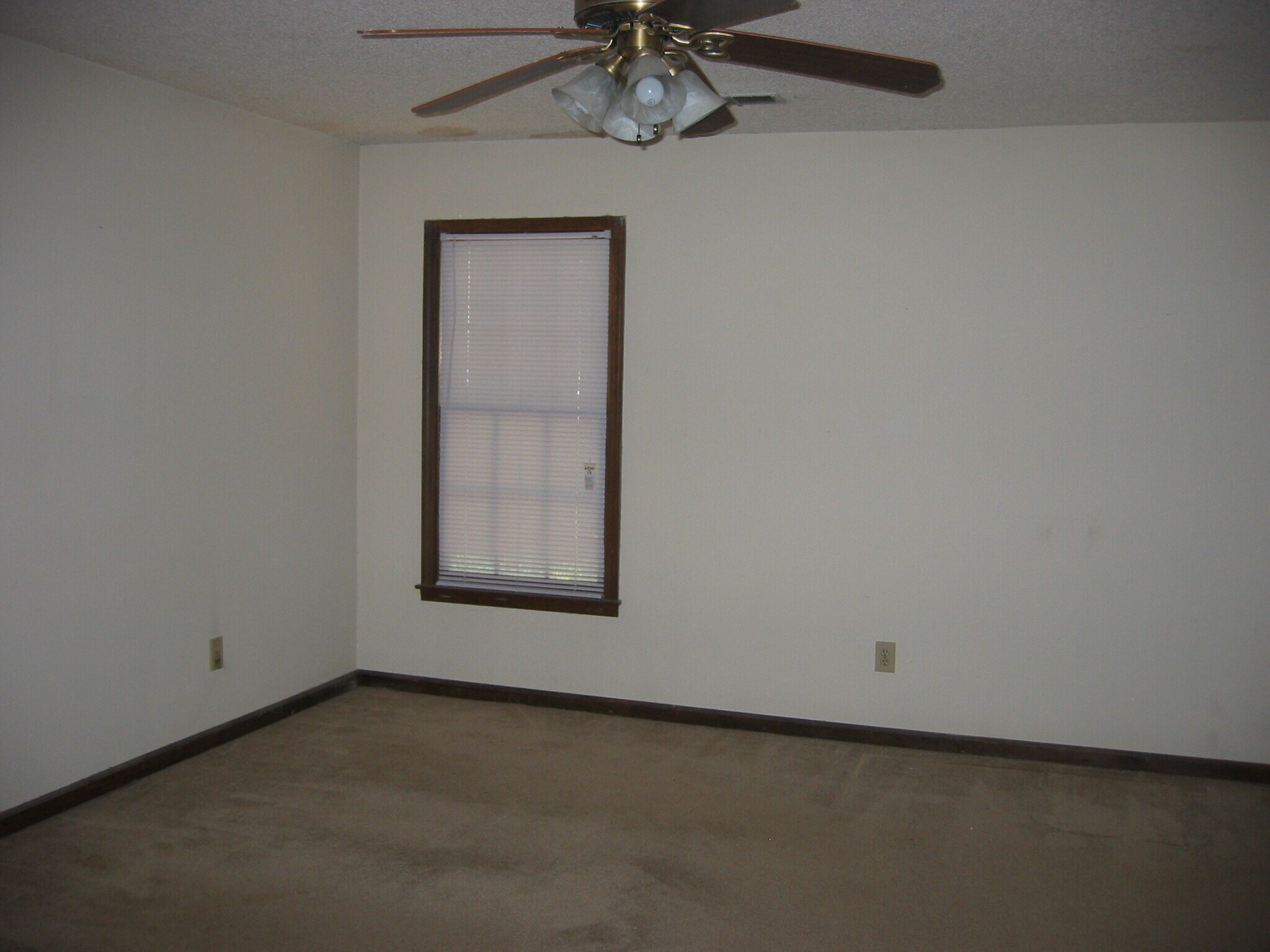 Building Photo - 158 Indian Branch Way