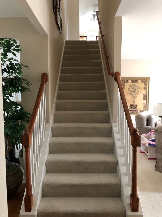 Building Photo - McKay's Mill McMansion