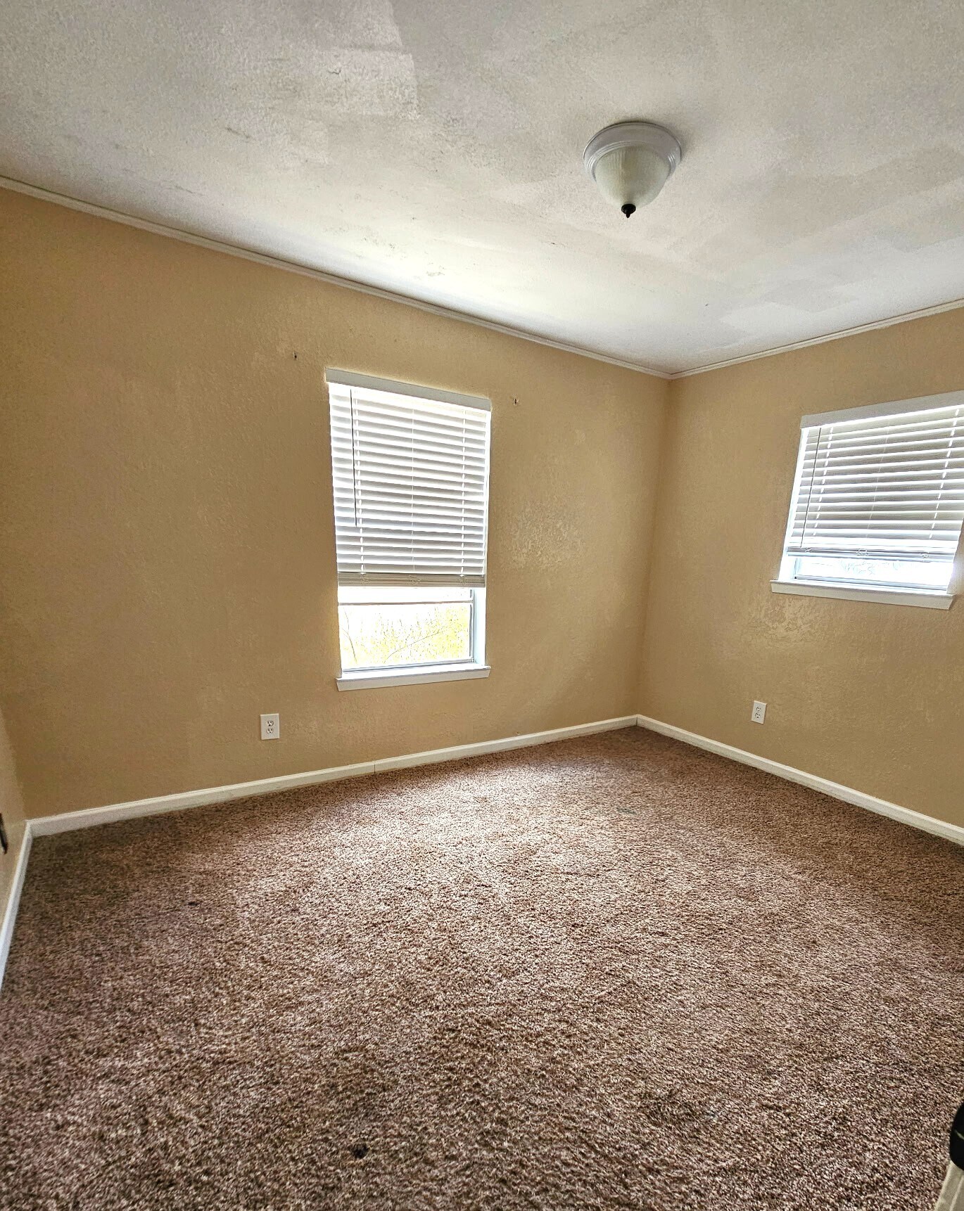 Building Photo - 1519 Indian Trl