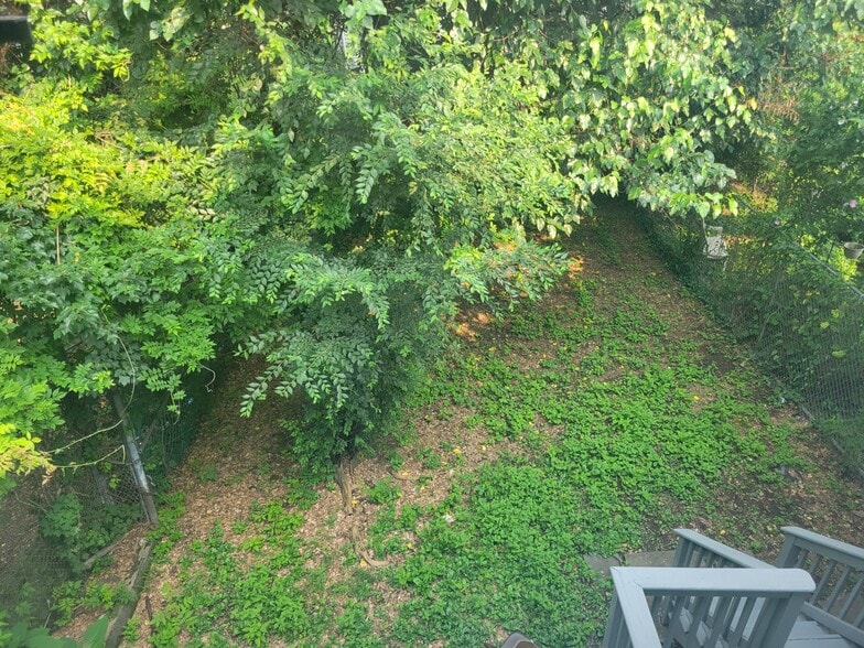Backyard - 138 S 10th St