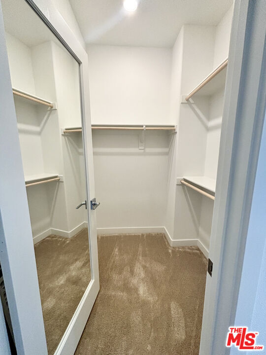 Building Photo - 61 Harness Wy