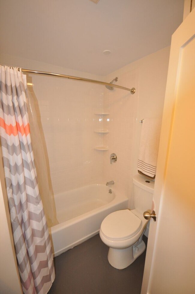 Building Photo - Amazing 3 bed 1.5 bath in the South End!!!