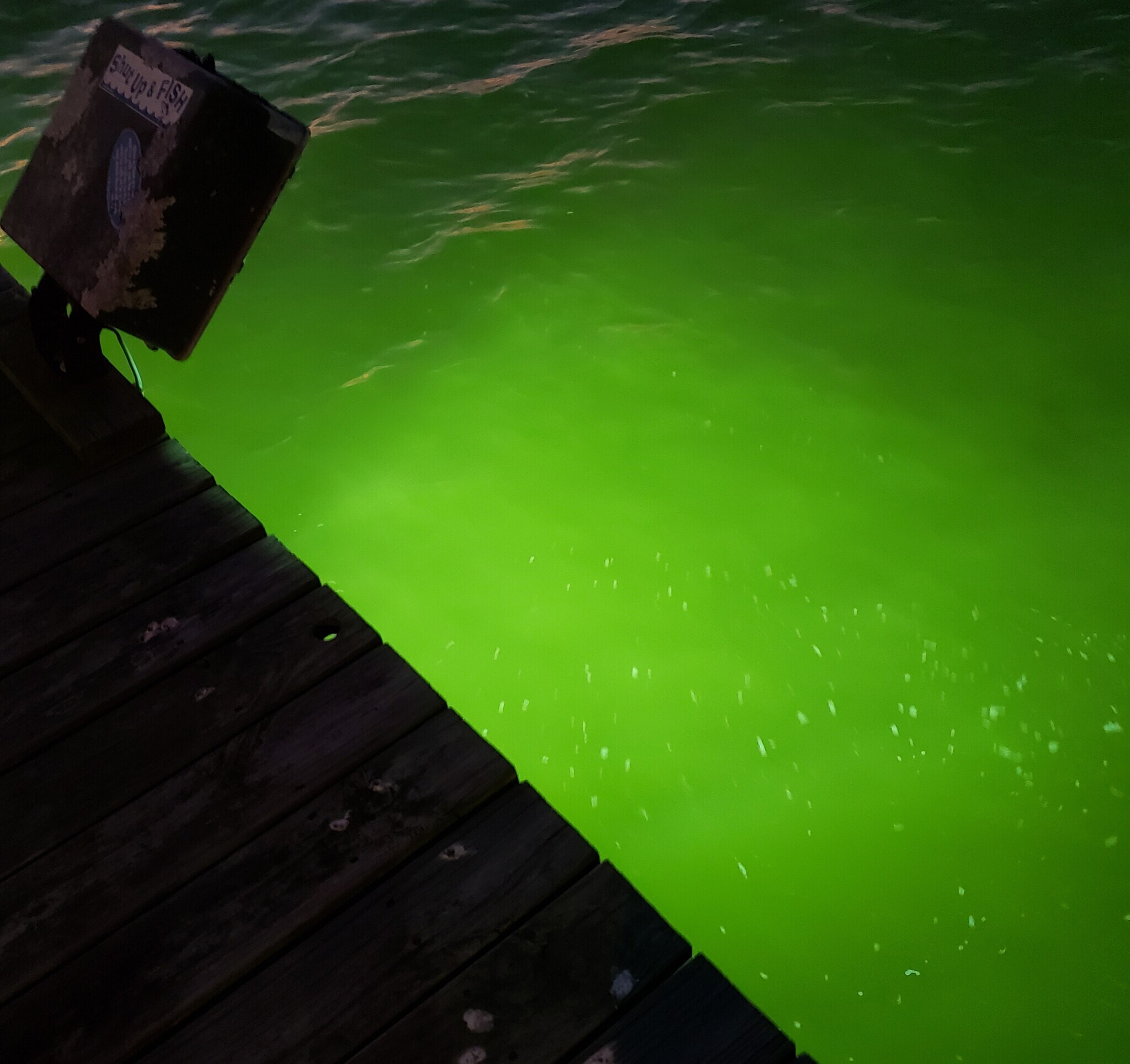 Building Photo - 3780 Martin Luther King Jr Dr