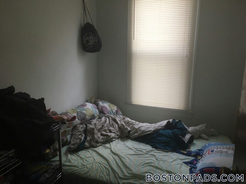 Building Photo - 254 Windsor St