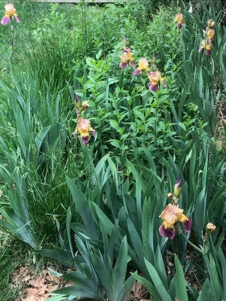 Building Photo - 2934 S Zurich Ct