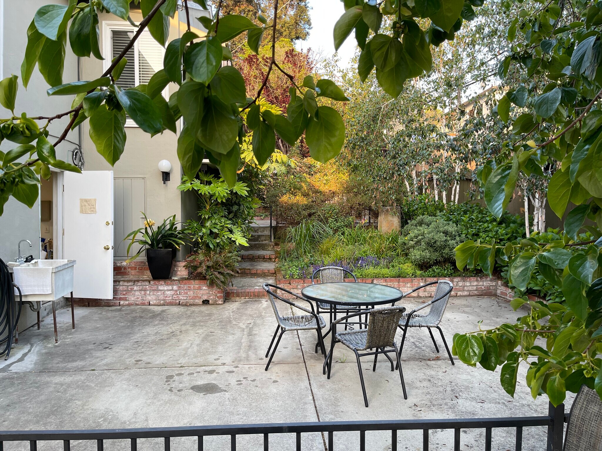 Yard Area - 112 44th Ave