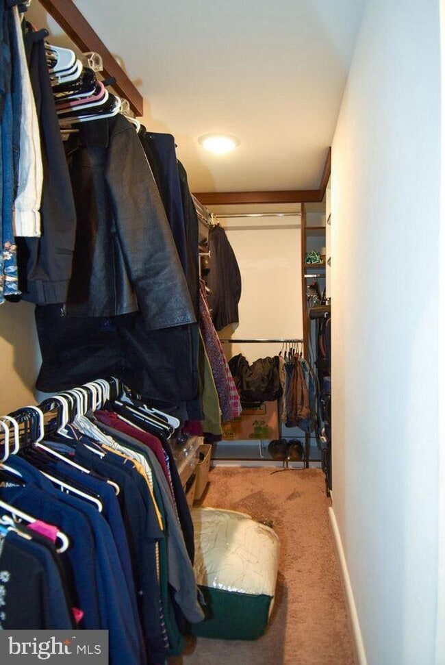 Building Photo - 4-Level Furnished townhome!