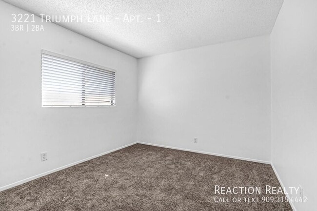 Building Photo - 3221 Triumph Ln