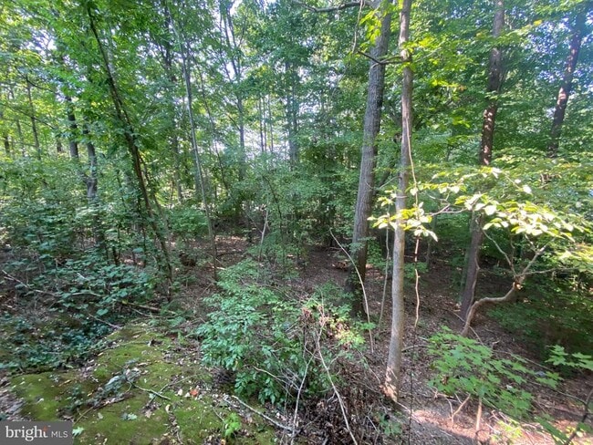 Building Photo - 4115 Corbin Hall Ln