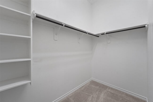 Building Photo - 7203 Buckthorn Holw Trl