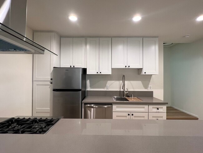 the kitchen is fully equipped and with all new stainless steel appliances - 11120 Hartsook St