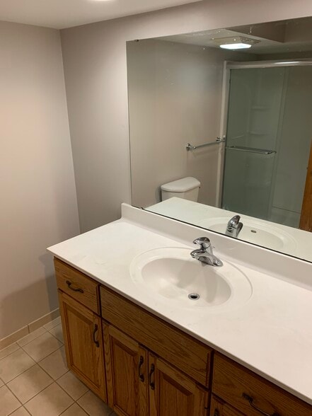 Bathroom lower level, view 2 - 719 N Gammon Rd