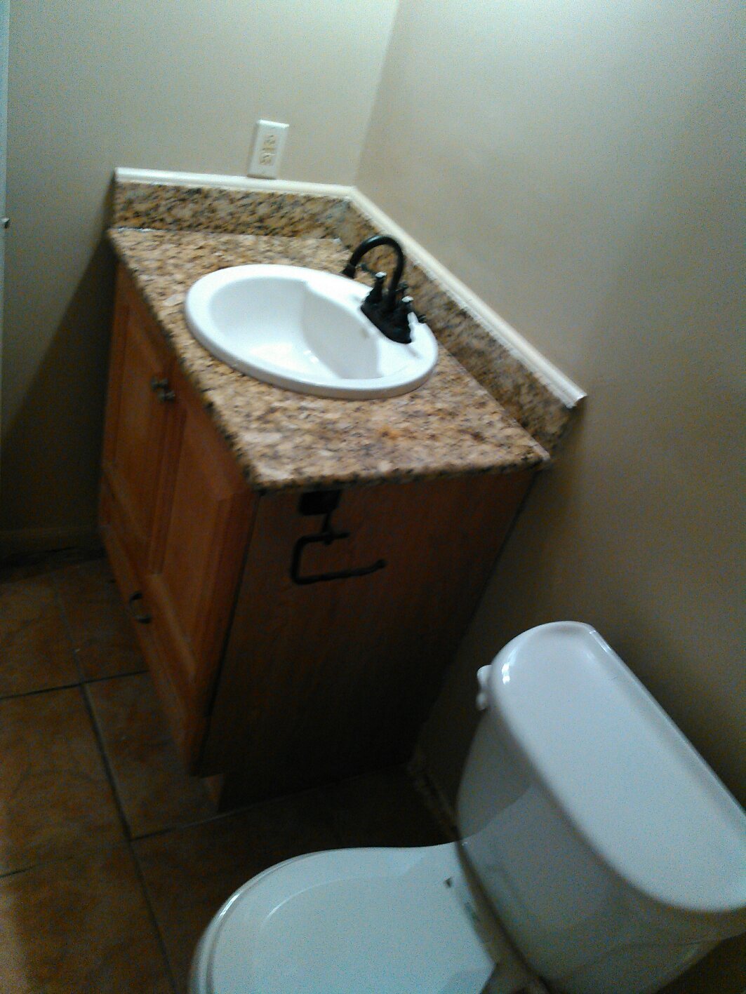 Master Bath Updated- Sink, Faucet, toilet paper holder updated 2021 - 7933 Bles Ave