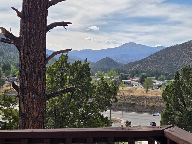 Building Photo - Furnished Four Bedroom Home With Sierra Bl...