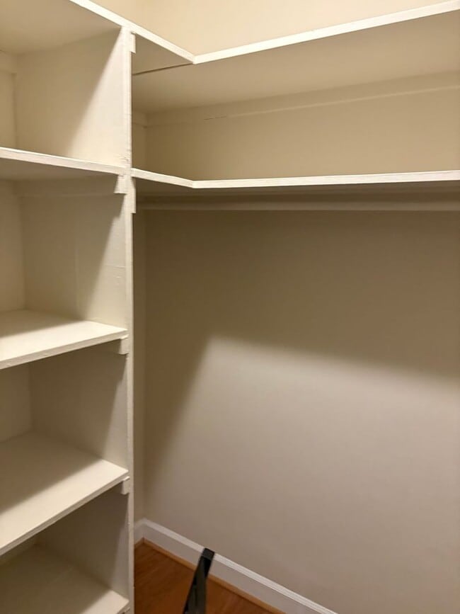 Building Photo - New Updated Spacious Studio