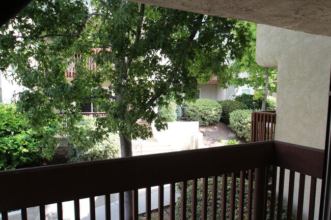 Building Photo - Gorgeous and Comfortable - Dual Master Suites - 2BD/2BA - East Mission Valley