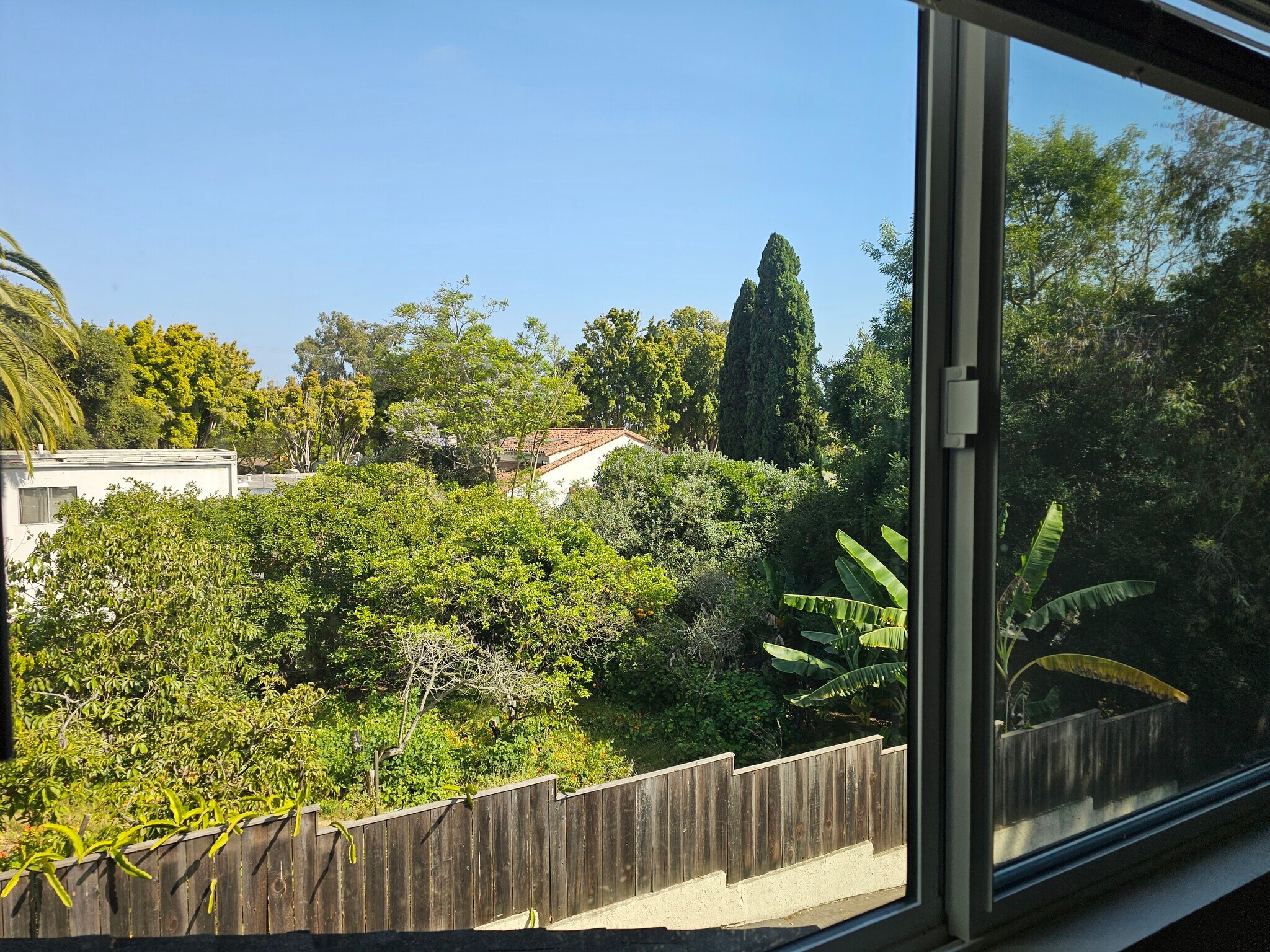 Bedroom View - 1615 Olive St