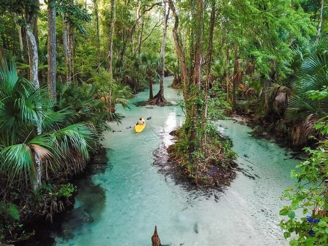 Building Photo - 1916 Beacon Bay Ct