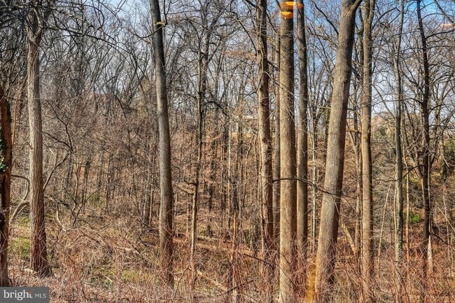 Building Photo - 3630 39th St NW