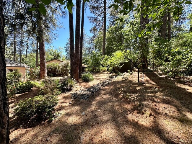 Building Photo - 3 Bedroom 2 Bathroom House in Desirable Al...