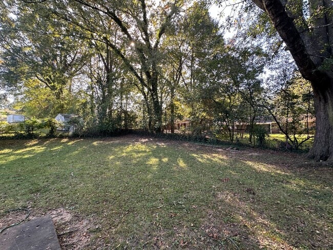 Building Photo - Forest Hills Cutie