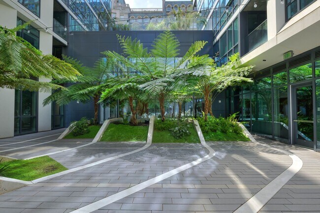 Courtyard - 1688 Pine St