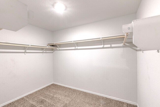 Building Photo - 4003 Arafel Ln