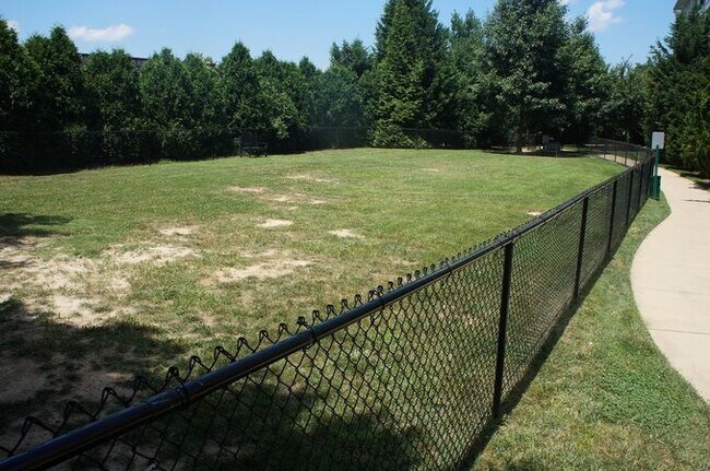 Dog Park - 4854 Eisenhower Ave