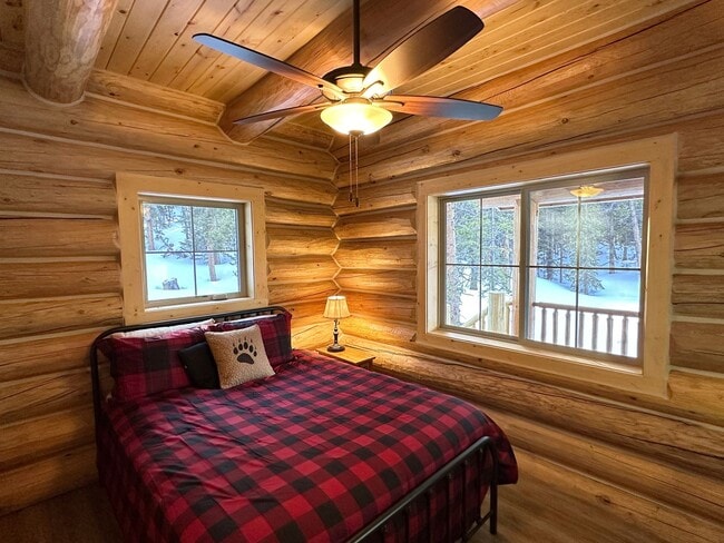 Building Photo - 6 month lease! Fairplay Cabin! 2 beds plus...