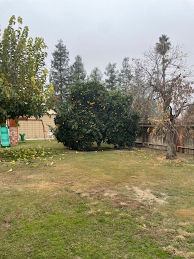 Building Photo - Beautiful Corner House with Shop