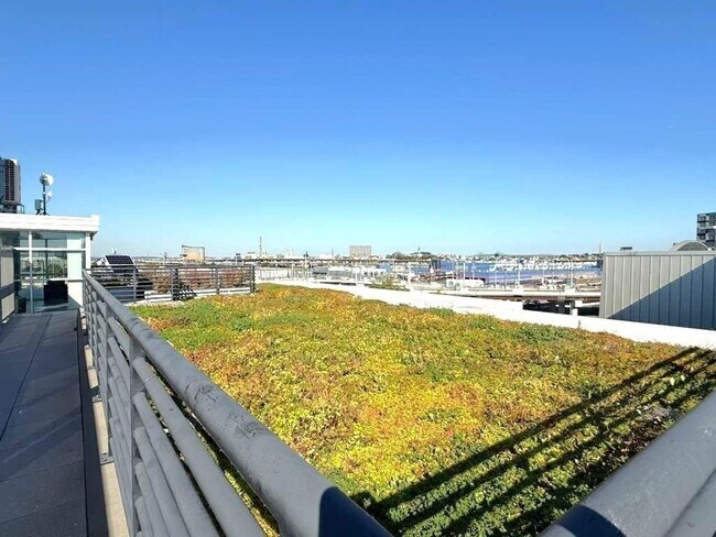 Building Photo - 262 Monsignor O'Brien Hwy