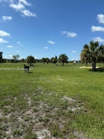Building Photo - 1250 Homestead Ave