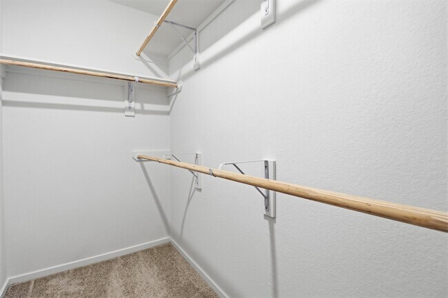 Building Photo - 26914 Dalmatian Bellflower Dr