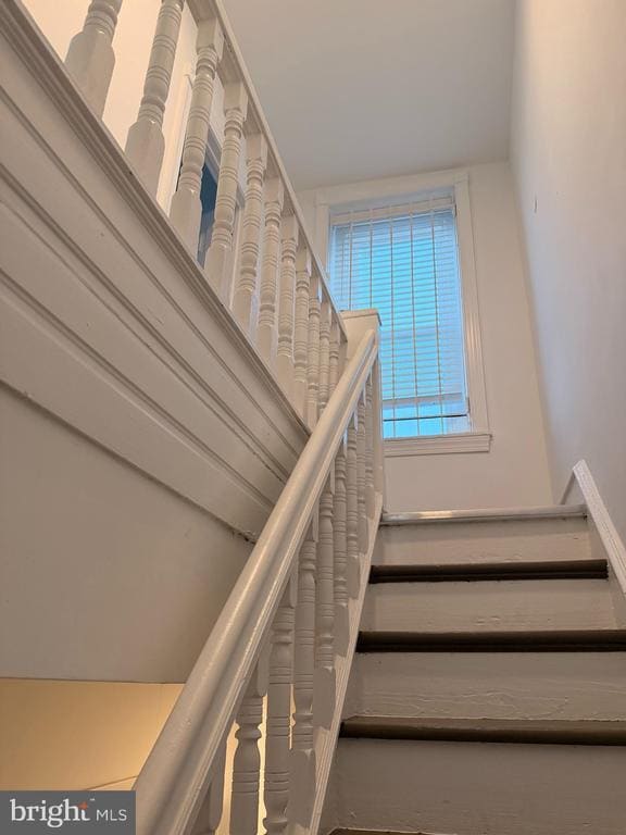 Building Photo - 1431 Wolf St