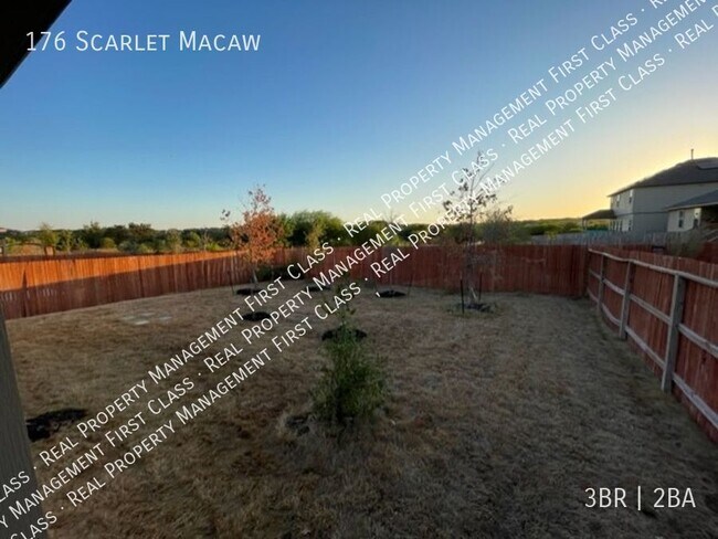 Building Photo - 176 Scarlet Macaw