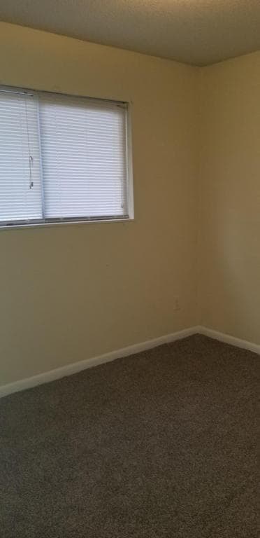 Building Photo - 764 81st Street South Apt. C