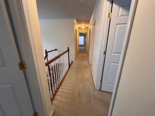 Building Photo - 5842 Tova Cir