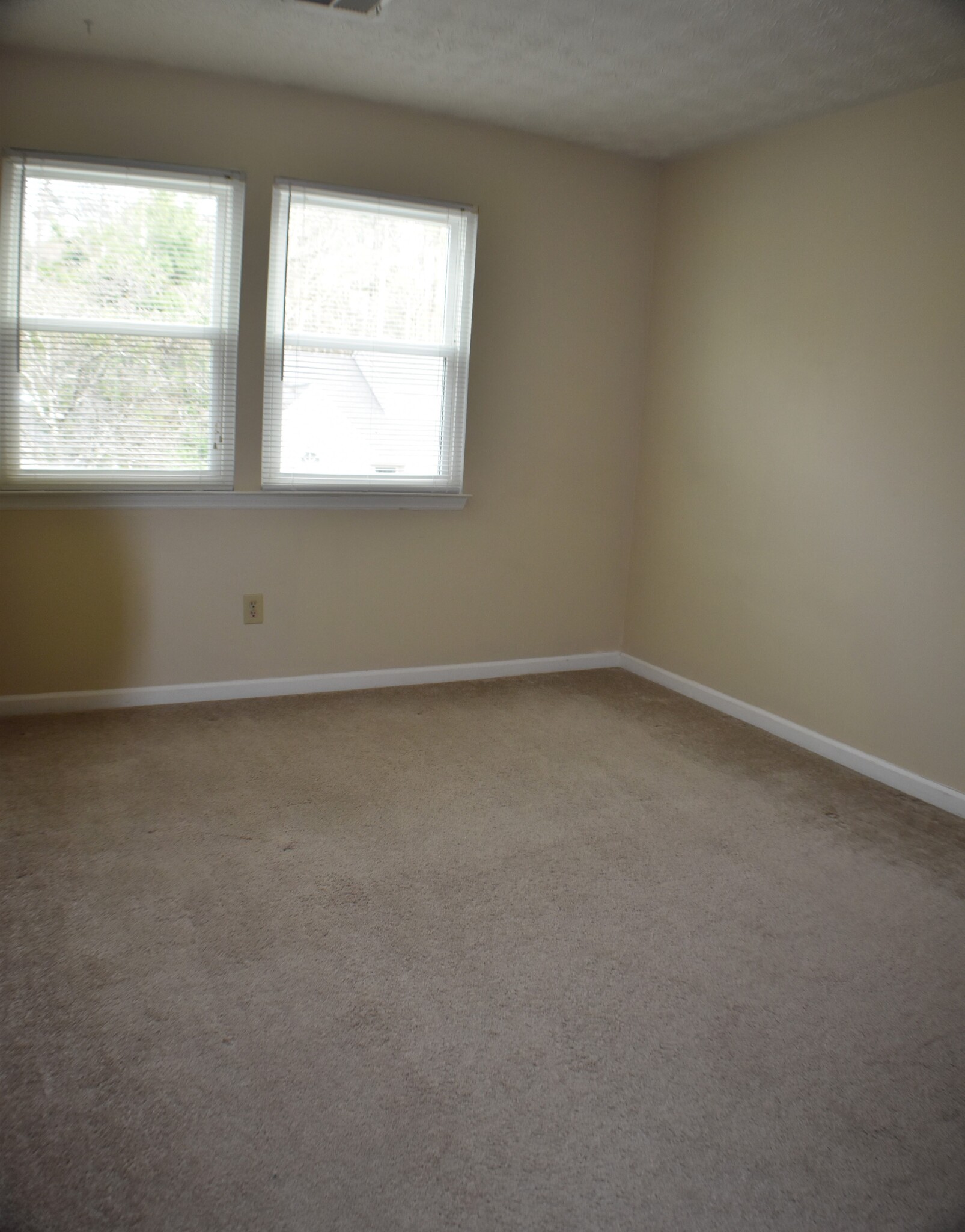 Building Photo - 10420 Virginia Pine Ln