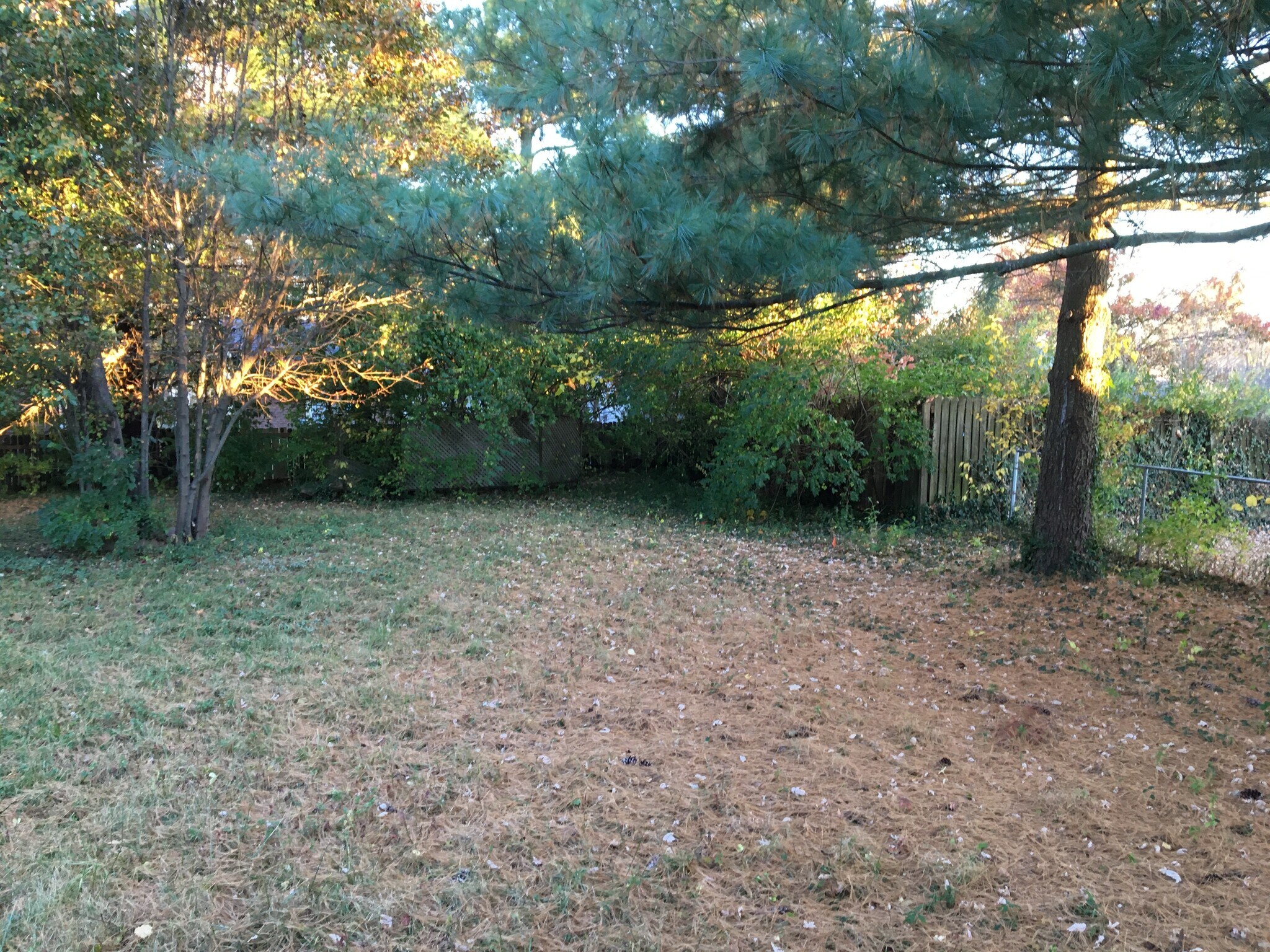 Building Photo - 1498 Summerhill Dr