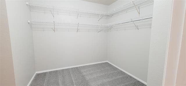 Building Photo - 861 Cats Eye Dr