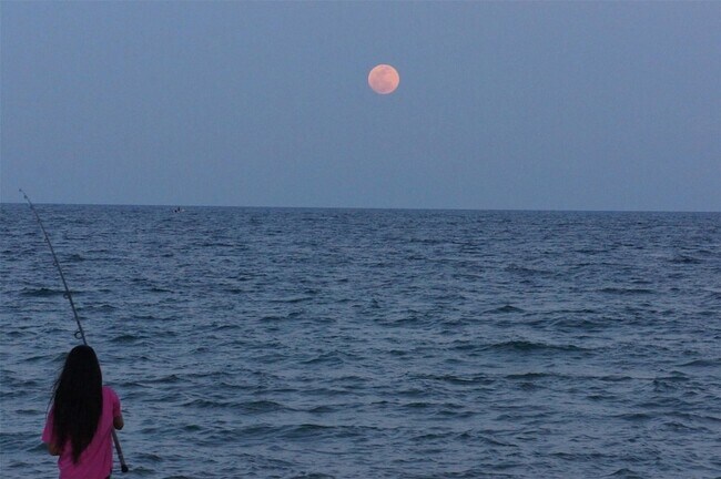 Building Photo - 95 N Birch Rd