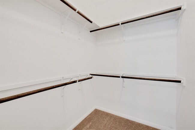 Building Photo - 429 Cinnamon Teal Ln
