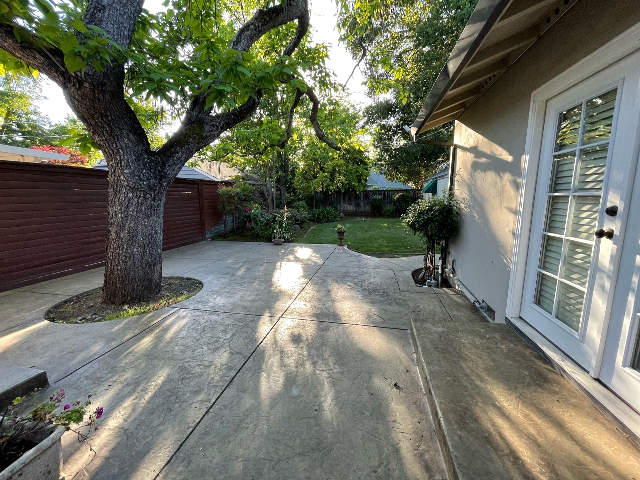 Backyard - 700 50th St