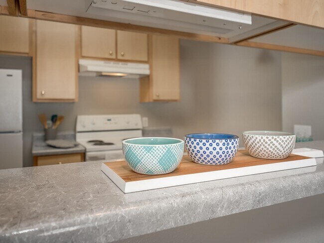 Building Photo - Coming Soon: 1 Bedroom