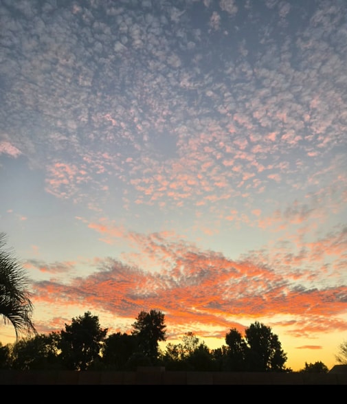 Building Photo - 278 E Sagebrush St