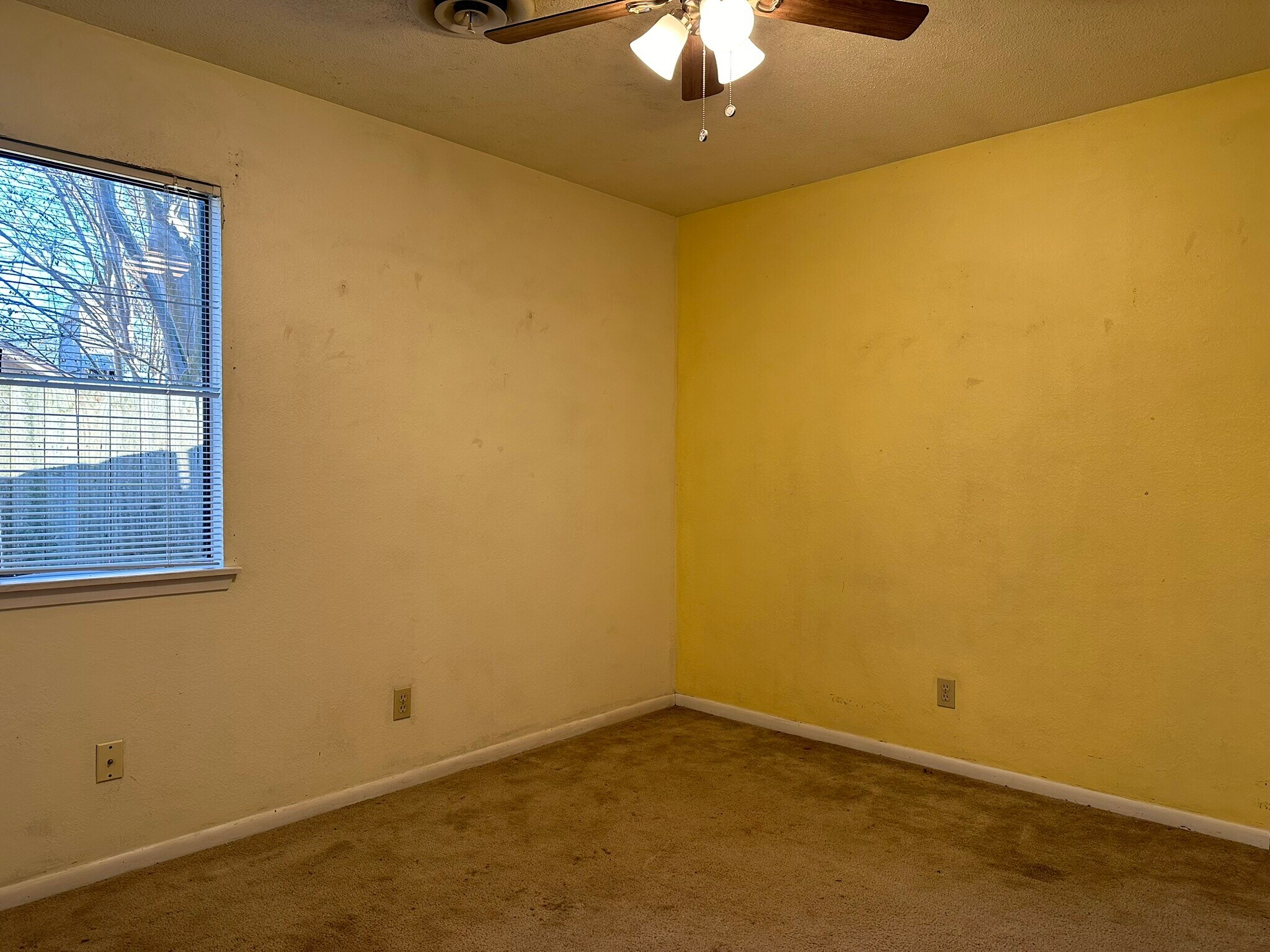 Building Photo - 103 Montego Ct