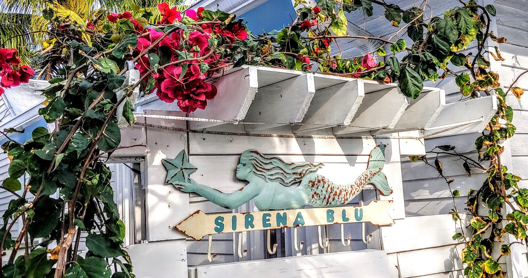 SirenaBlue (Blue mermaid) property - 1113 Grinnell St