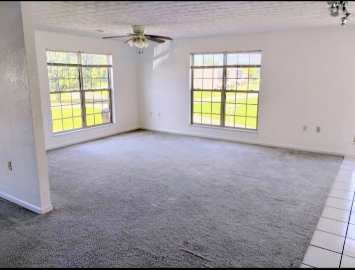 Building Photo - 1607 Meadow Spring Dr