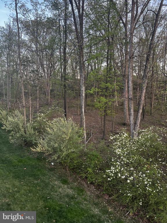 Building Photo - 42482 Dogwood Glen Square